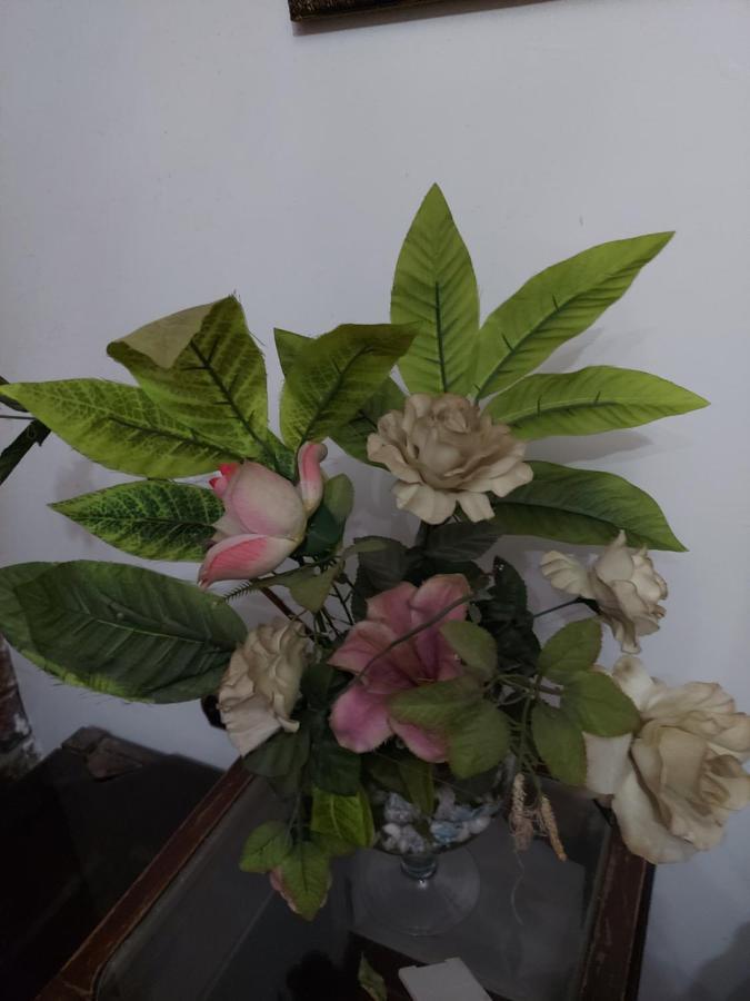 Al Moayad Apartment Near To Genina Mall, Abbas Al Akkad Cairo Ngoại thất bức ảnh